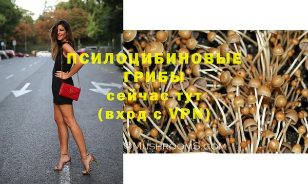 МДМА Богородицк