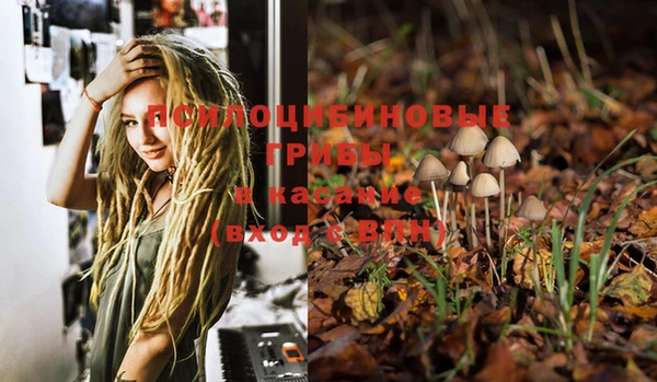 PSILOCYBIN Бугульма