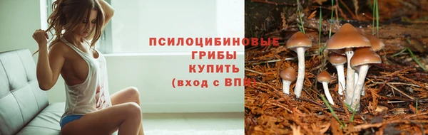 а пвп мука Богданович