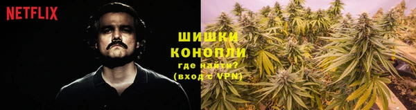 а пвп мука Богданович