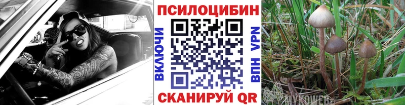 Галлюциногенные грибы Cubensis  купить наркотики цена  Среднеуральск 
