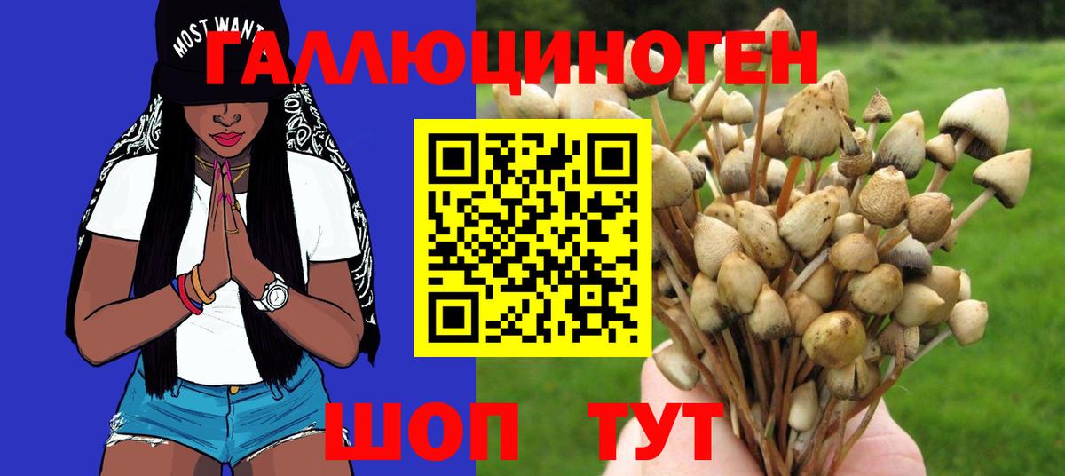 Псилоцибиновые грибы прущие грибы  Вход с VPN  Среднеуральск 
